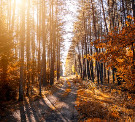 新加坡顶级电动自行车（E-Bike）骑行路线推荐