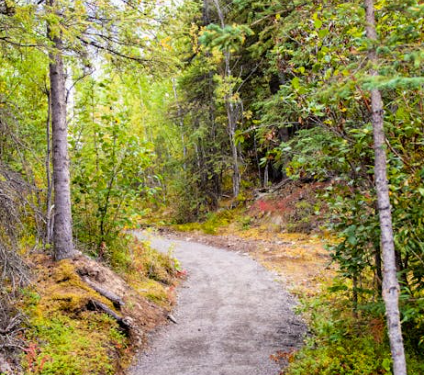 Top E-Bike Trails and Cycling Routes in Singapore You Shouldn’t Miss