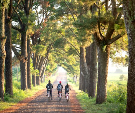 Eco-Friendly Commuting: How E-Bikes Reduce Carbon Footprint Compared to Cars and Public Transport